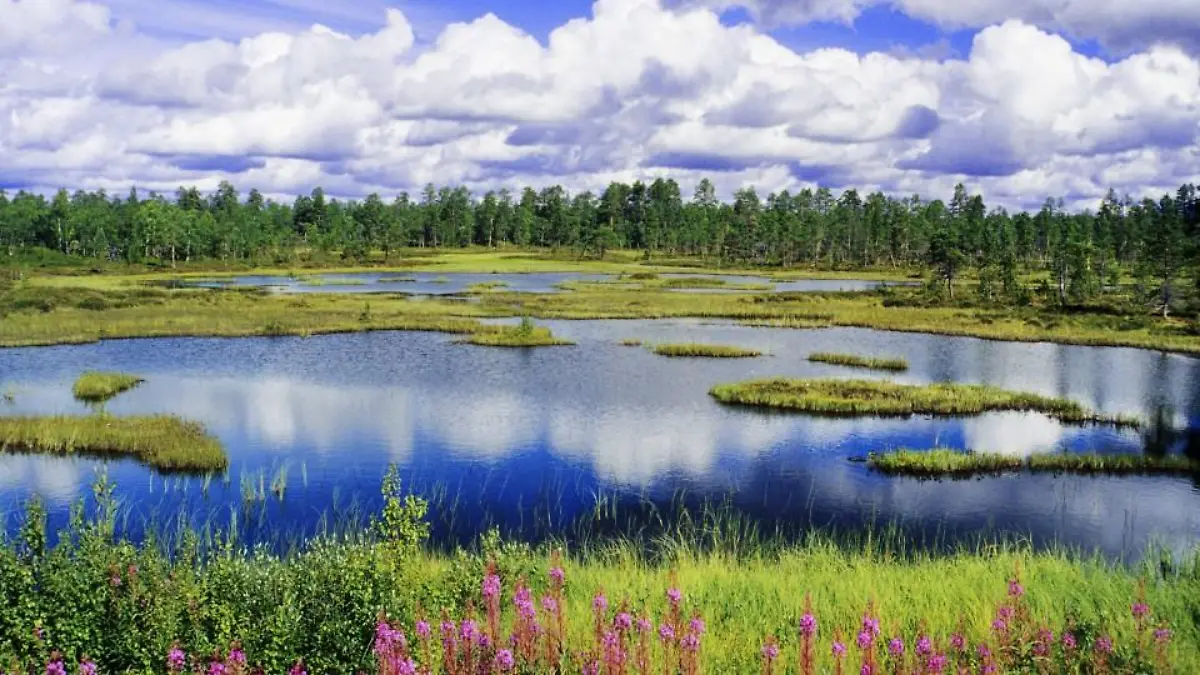 finnland-t10829