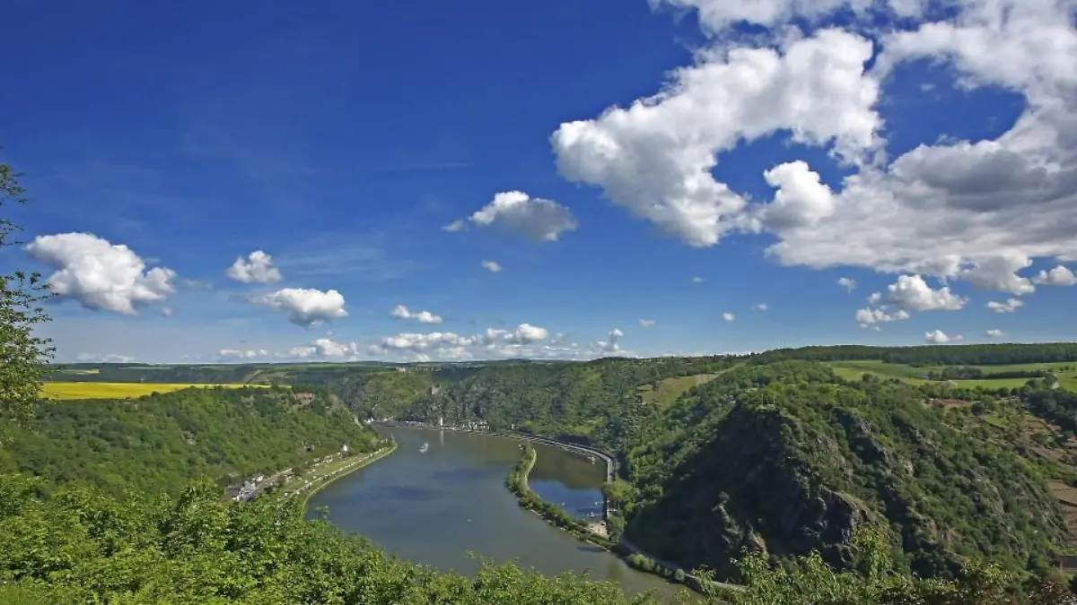 rhein-t10836