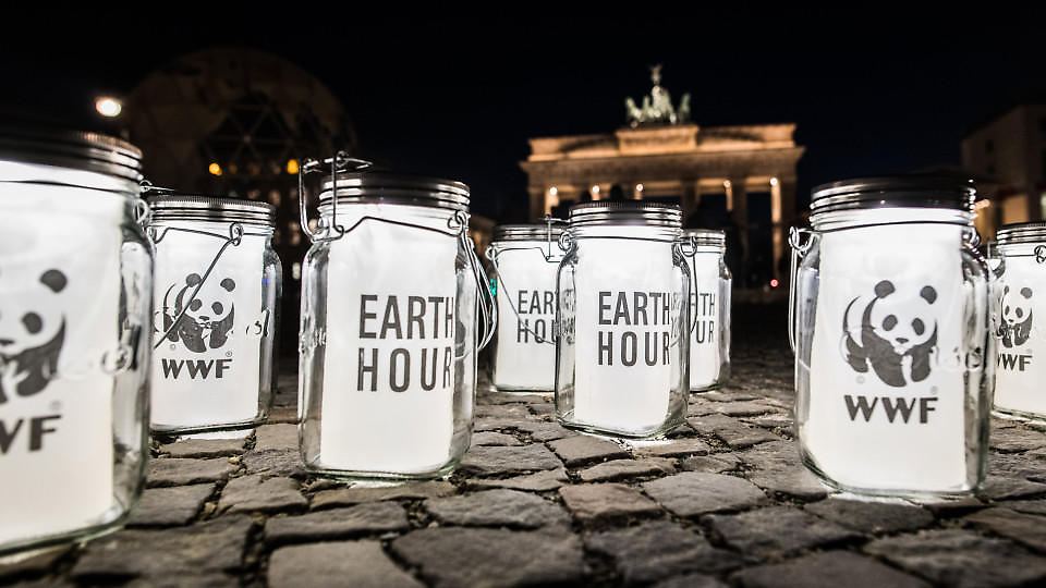 WWF: Alle News & Infos