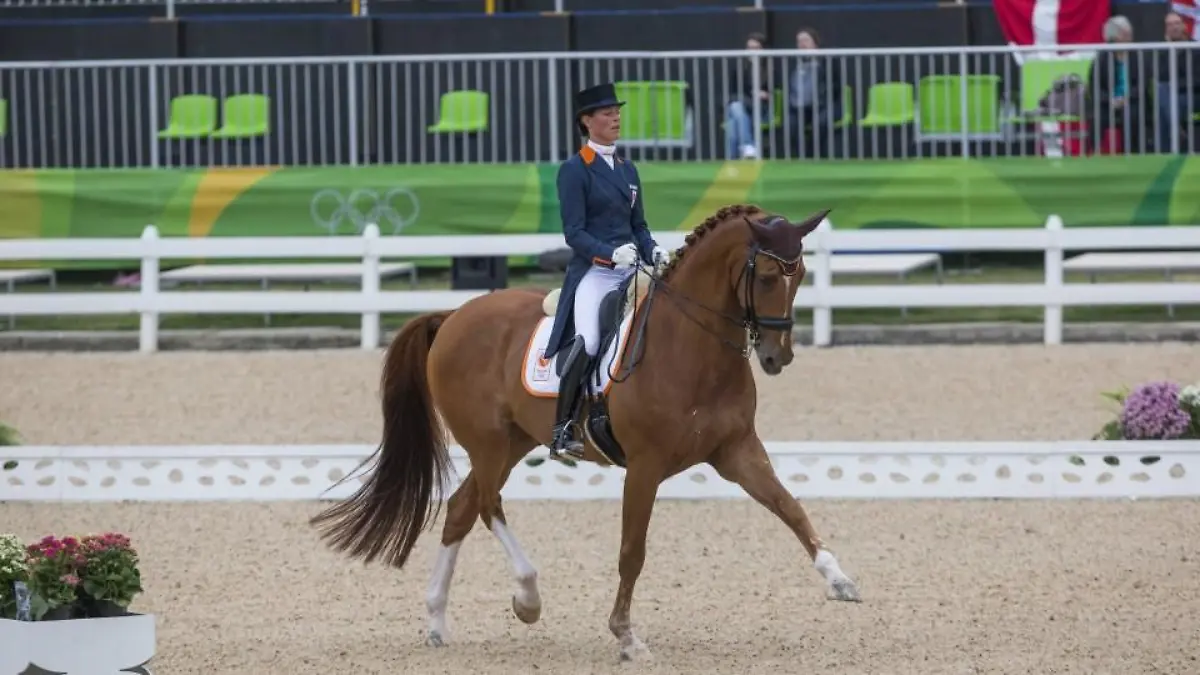 reiten-t10904