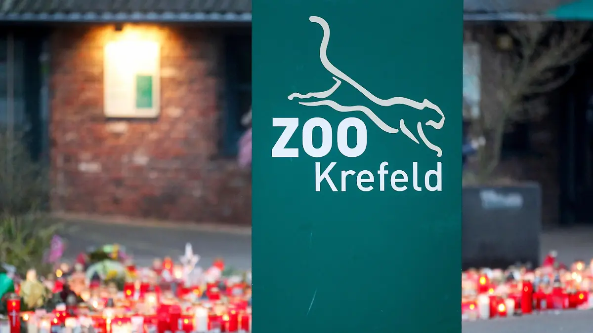 zoo-krefeld-t11310