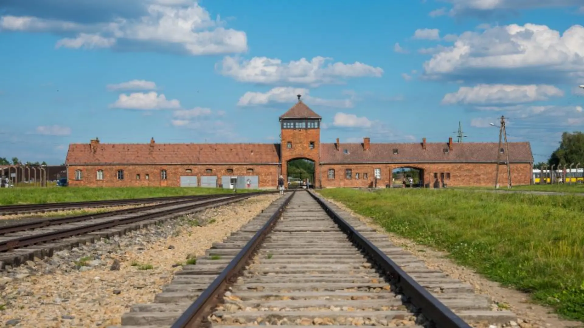 auschwitz-t11625