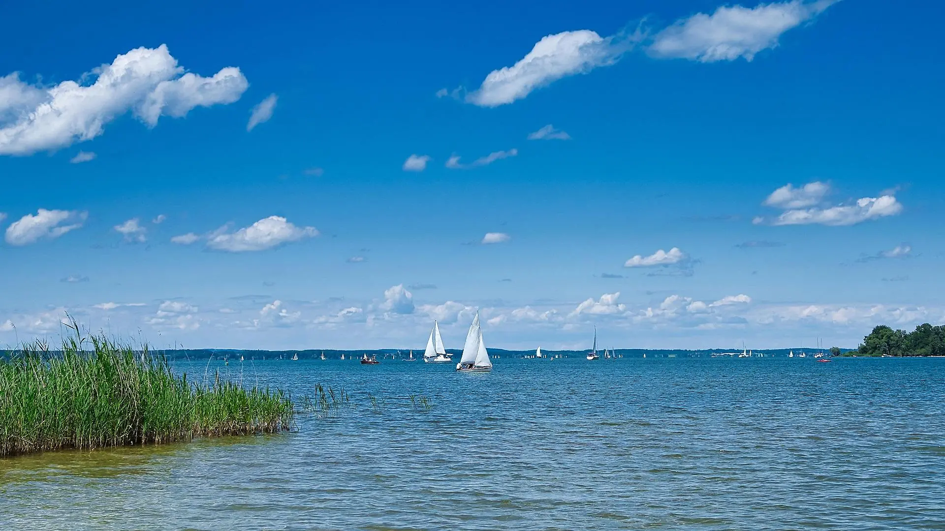 chiemsee-t11766