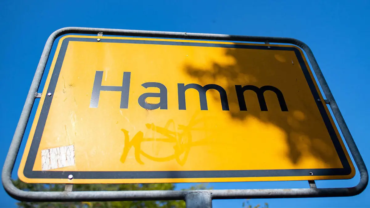 hamm-t12075