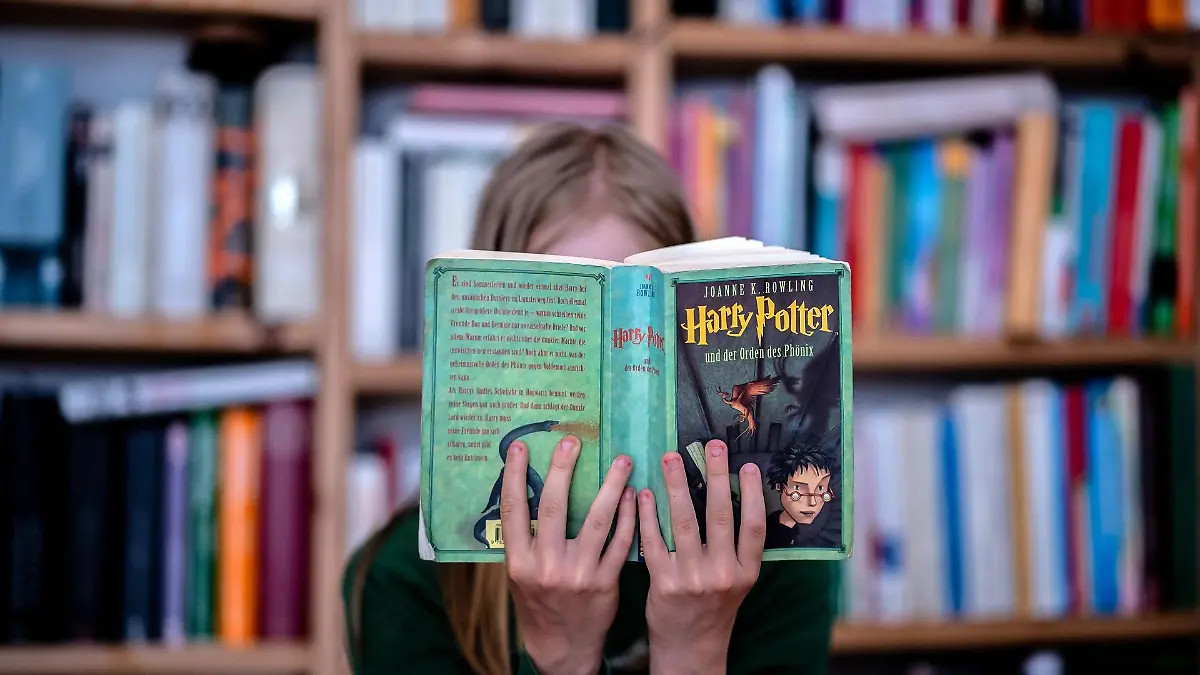 harry-potter-t12087