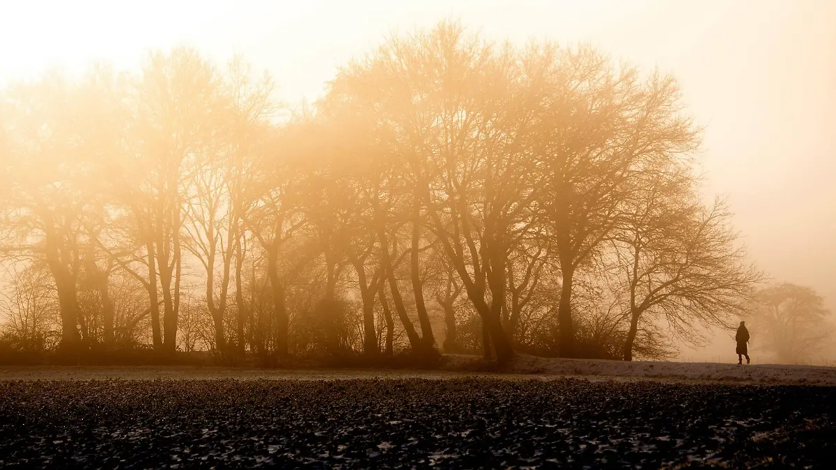 herbst-t12105