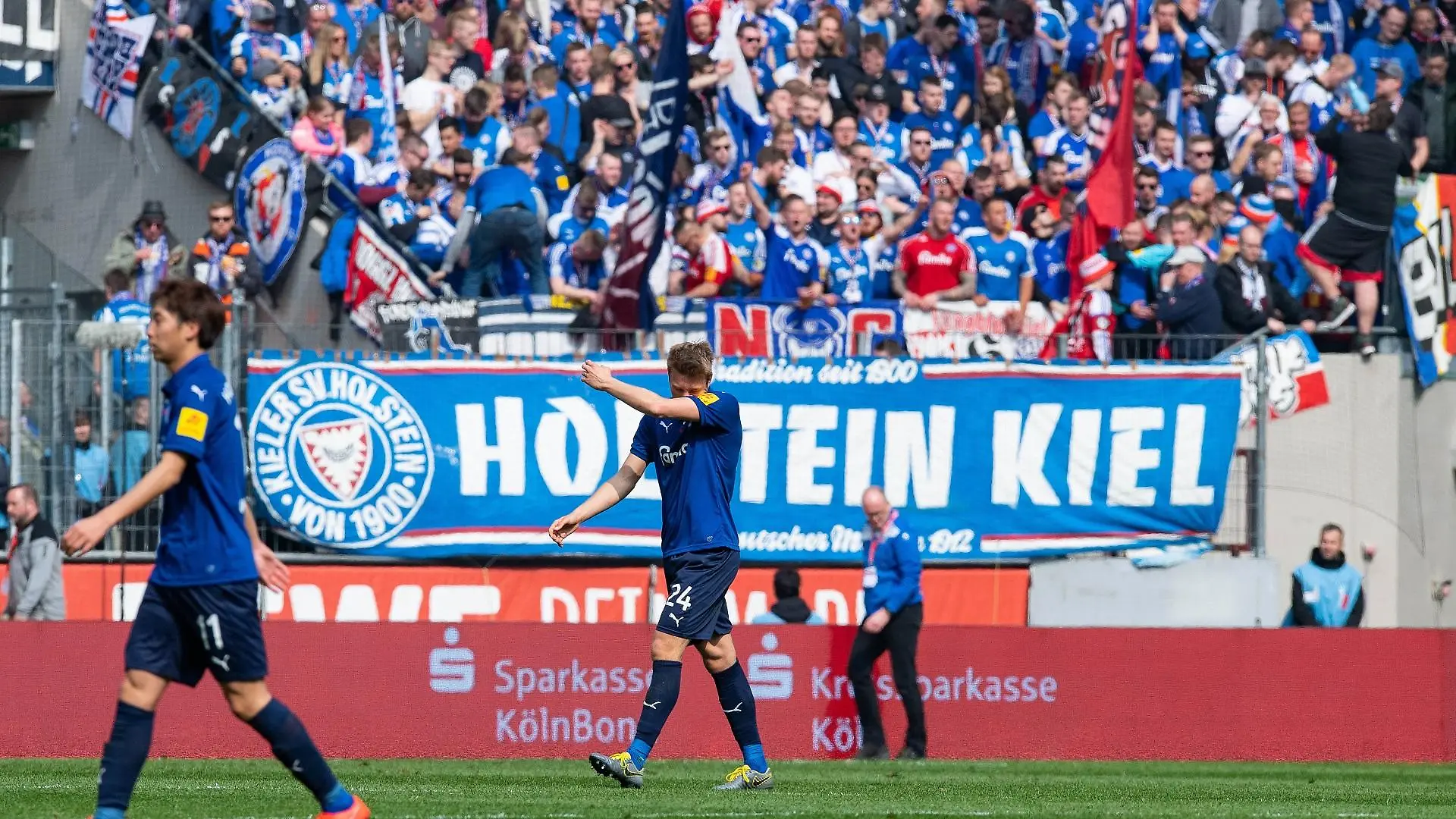 holstein-kiel-t12129