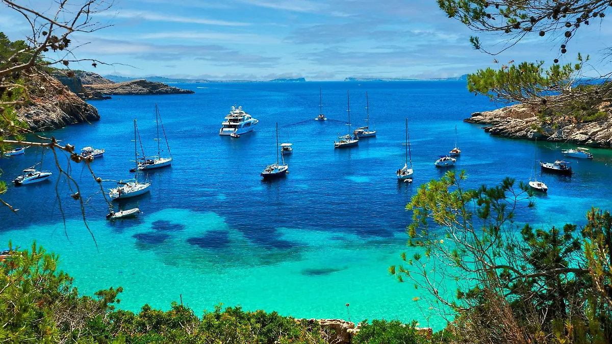 ibiza-t12144