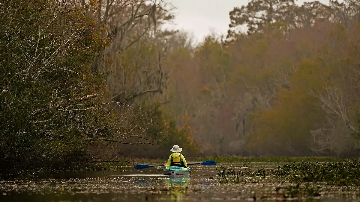 louisiana-t12324