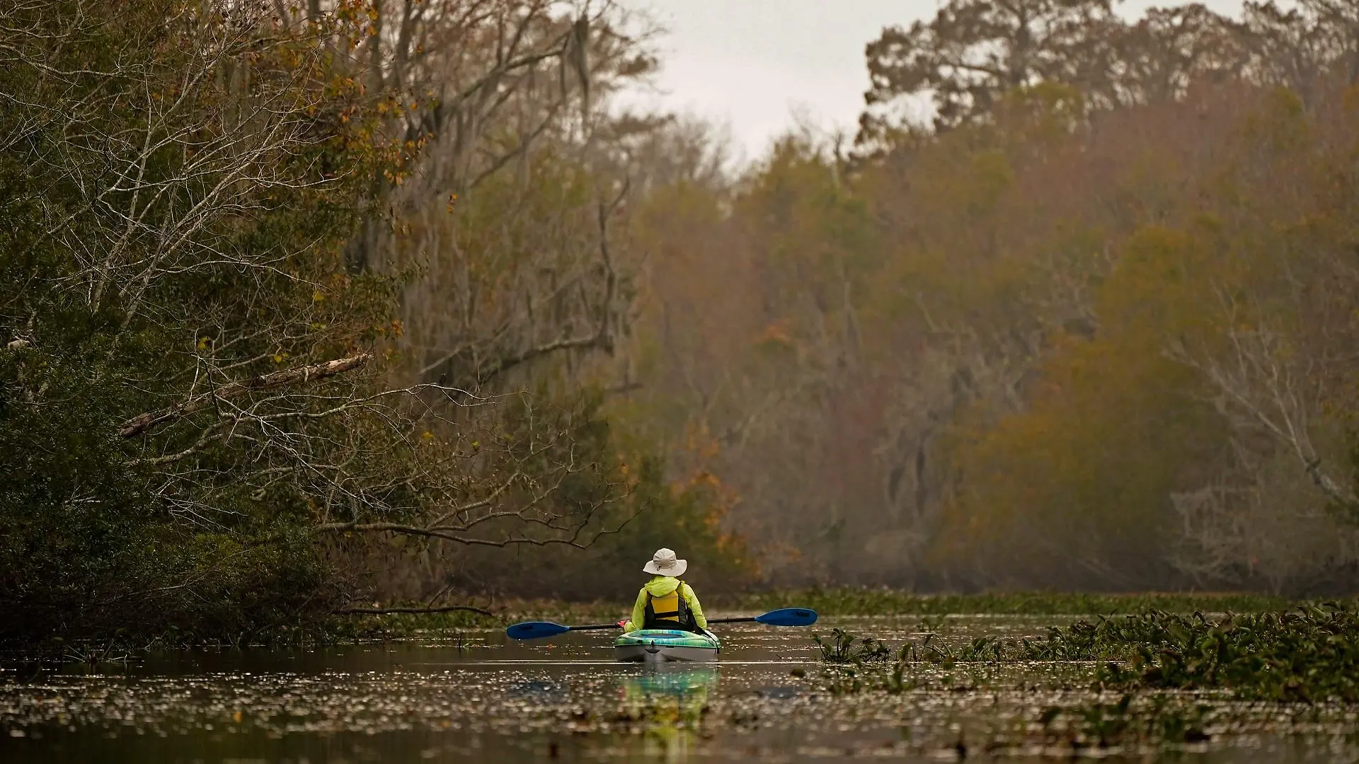 louisiana-t12324