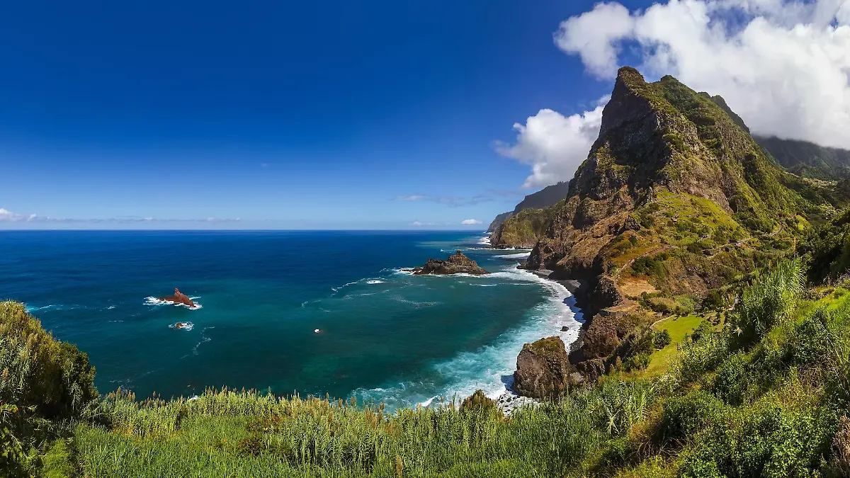 madeira-t12348