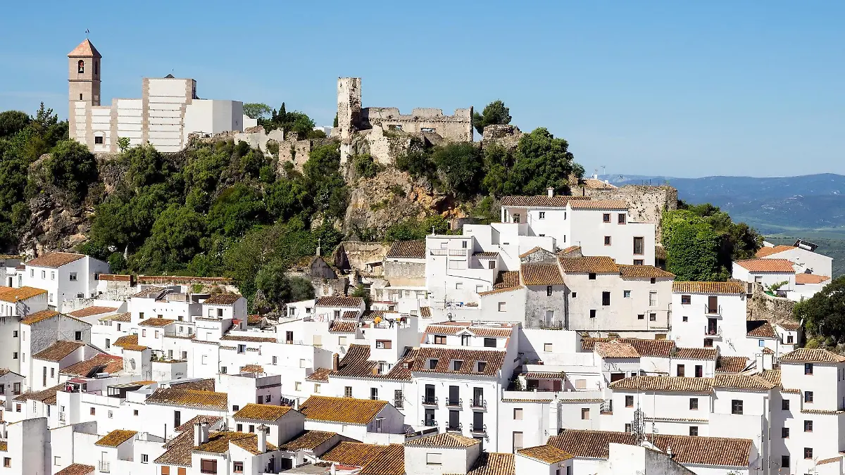 malaga-t12357