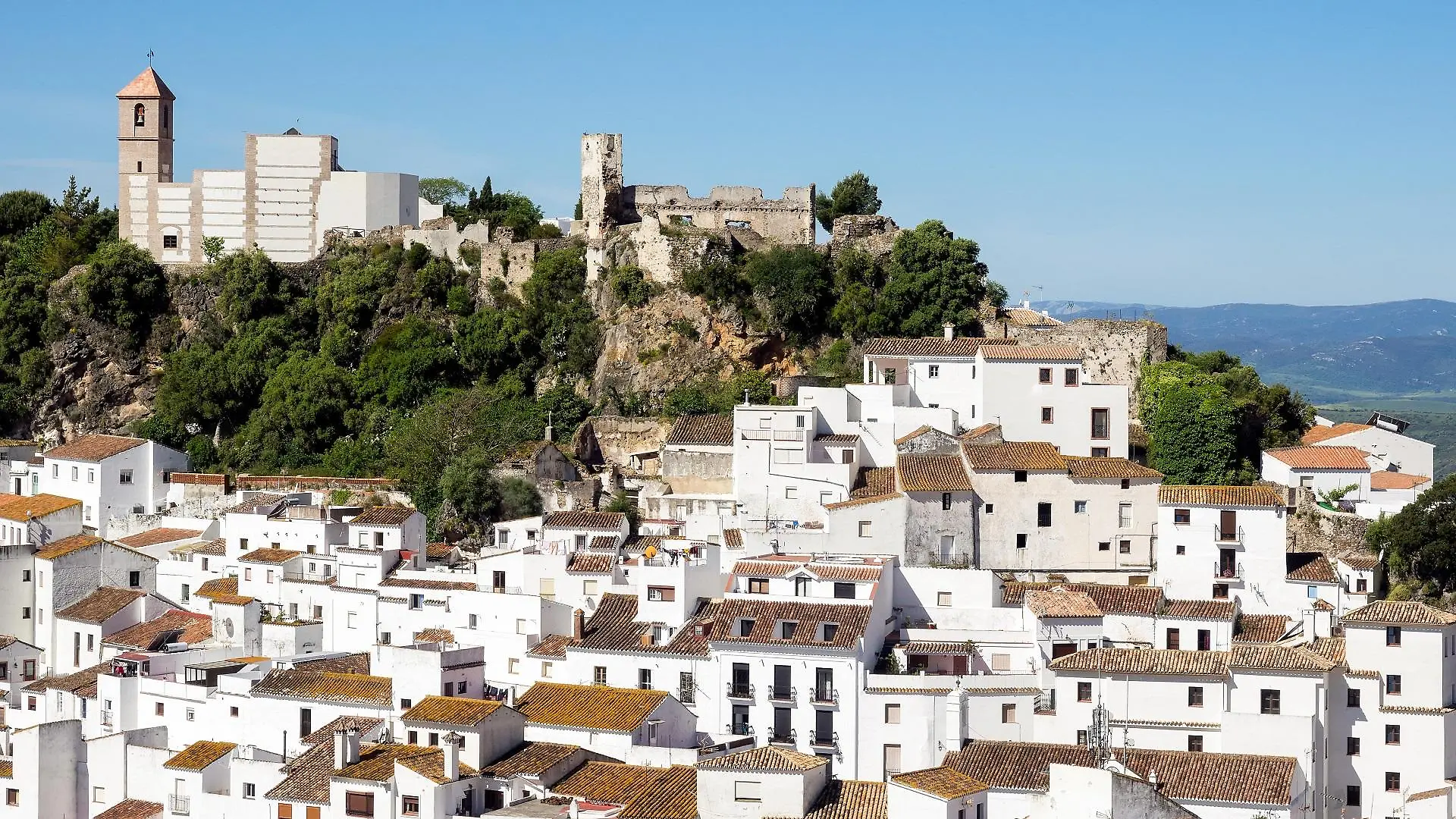 malaga-t12357