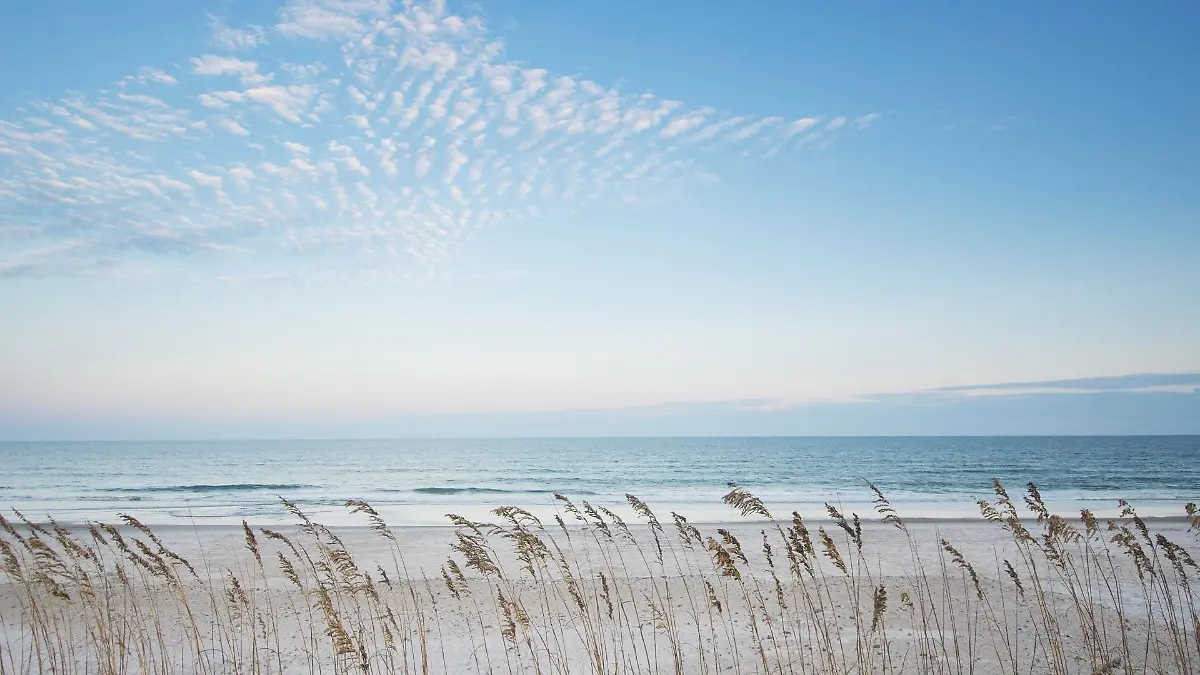 north-carolina-t12510