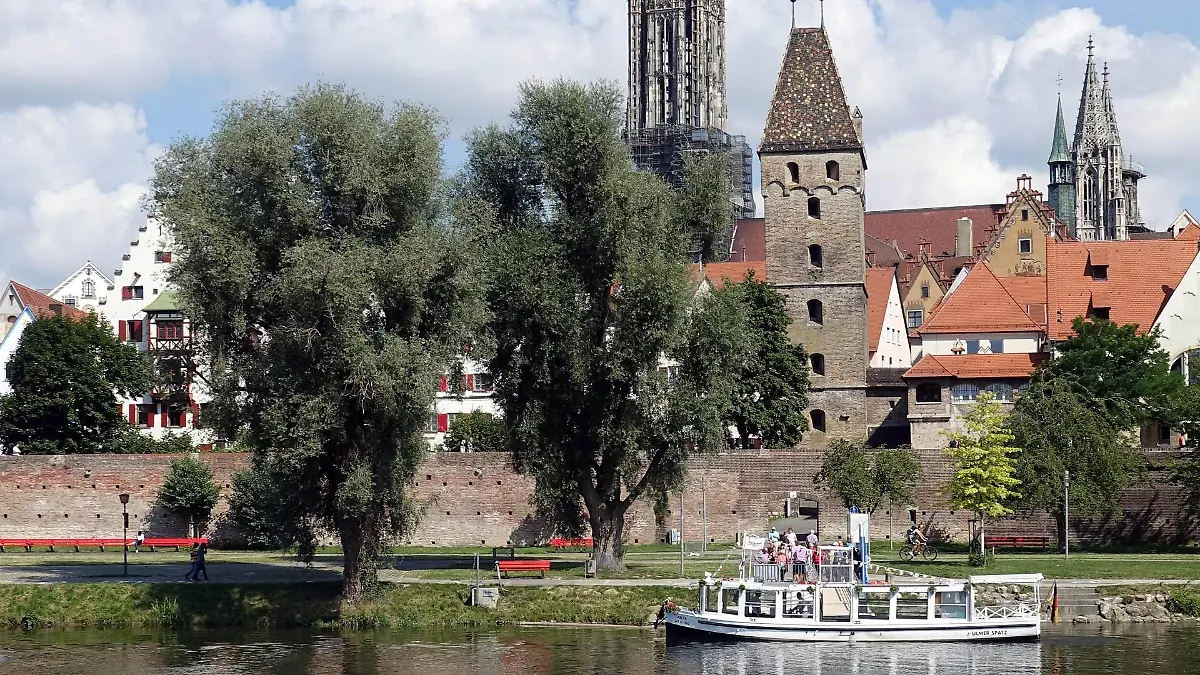 ulm-t12891