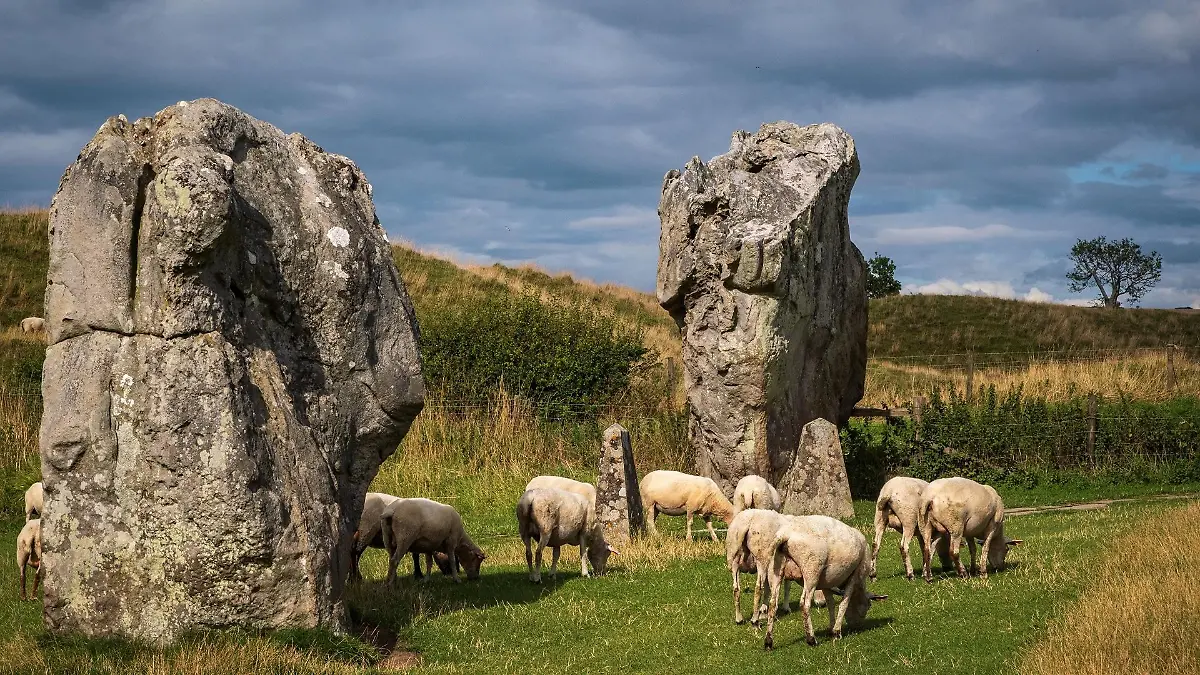 wales-t12981