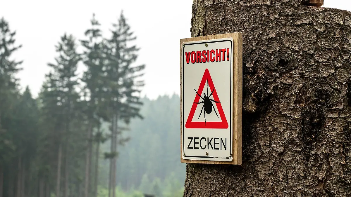 zecken-t13032