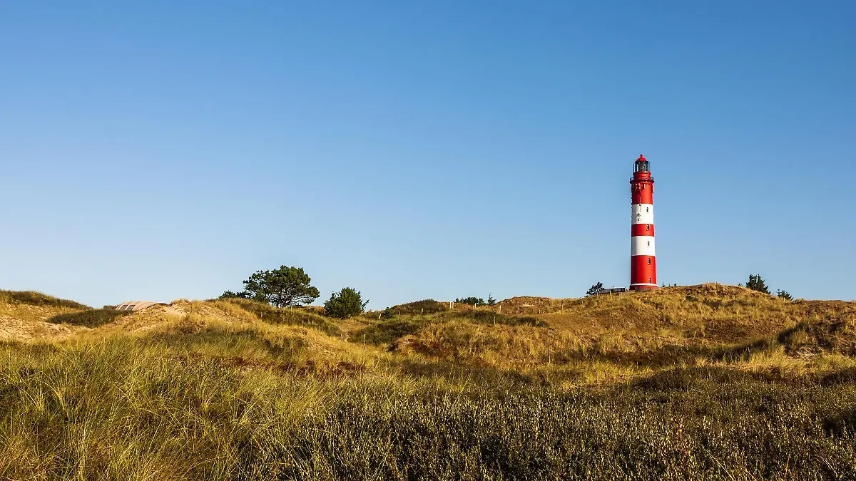 amrum-t13239