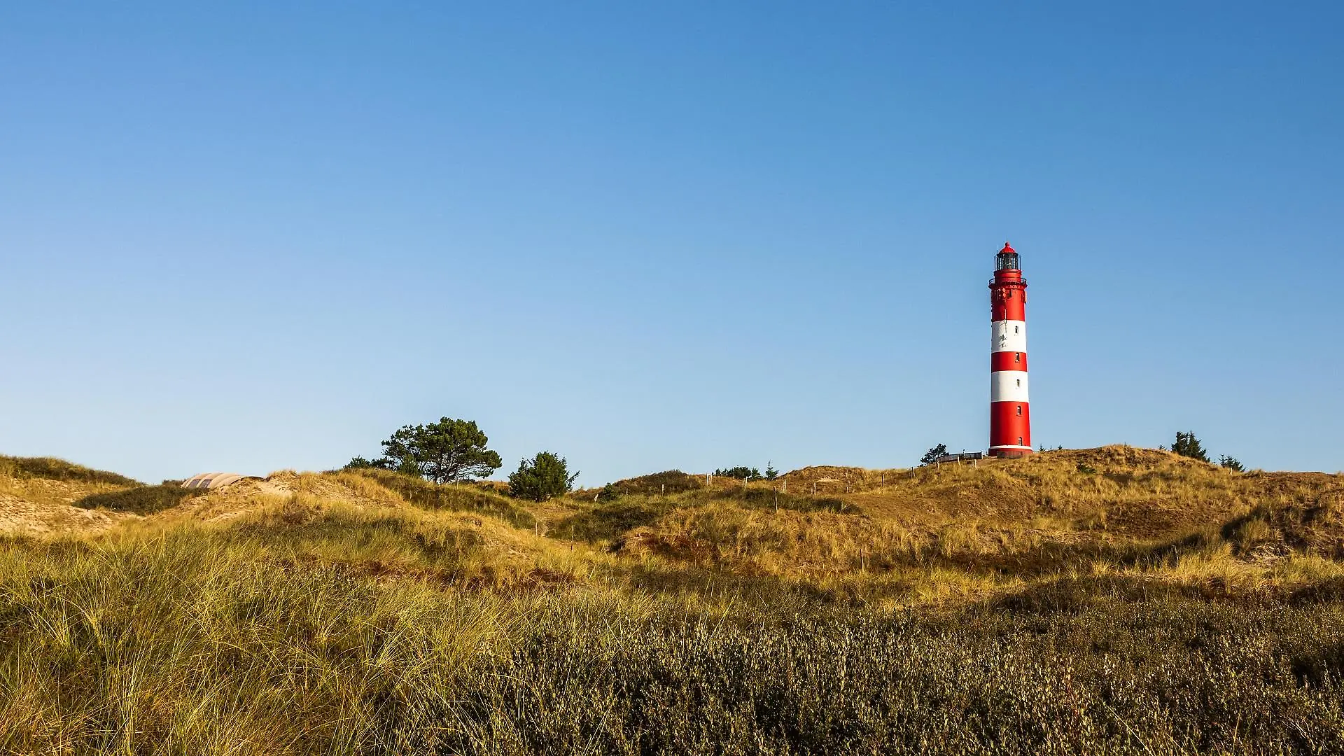 amrum-t13239
