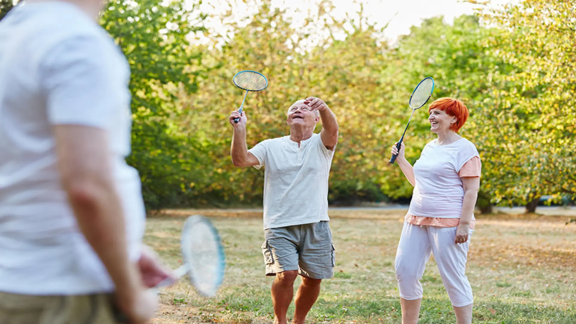 badminton-t13320
