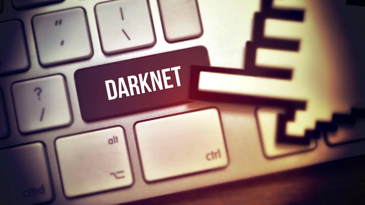 darknet-t13431