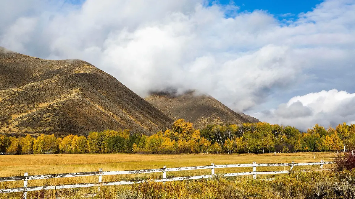 idaho-t13629