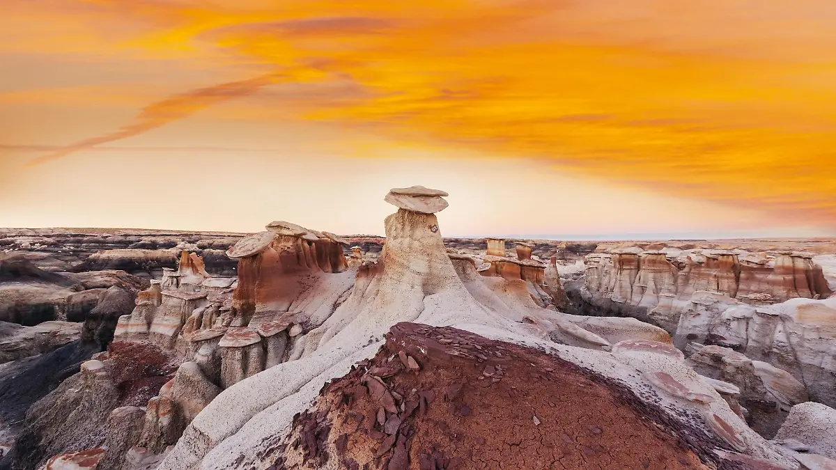 new-mexico-t13788
