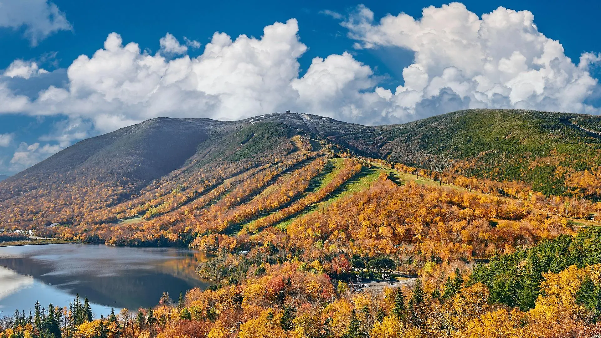 new-hampshire-t13785