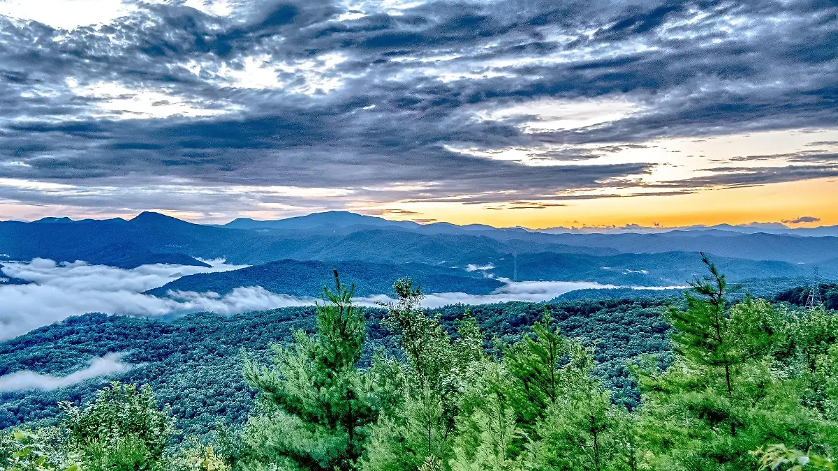 south-carolina-t13872