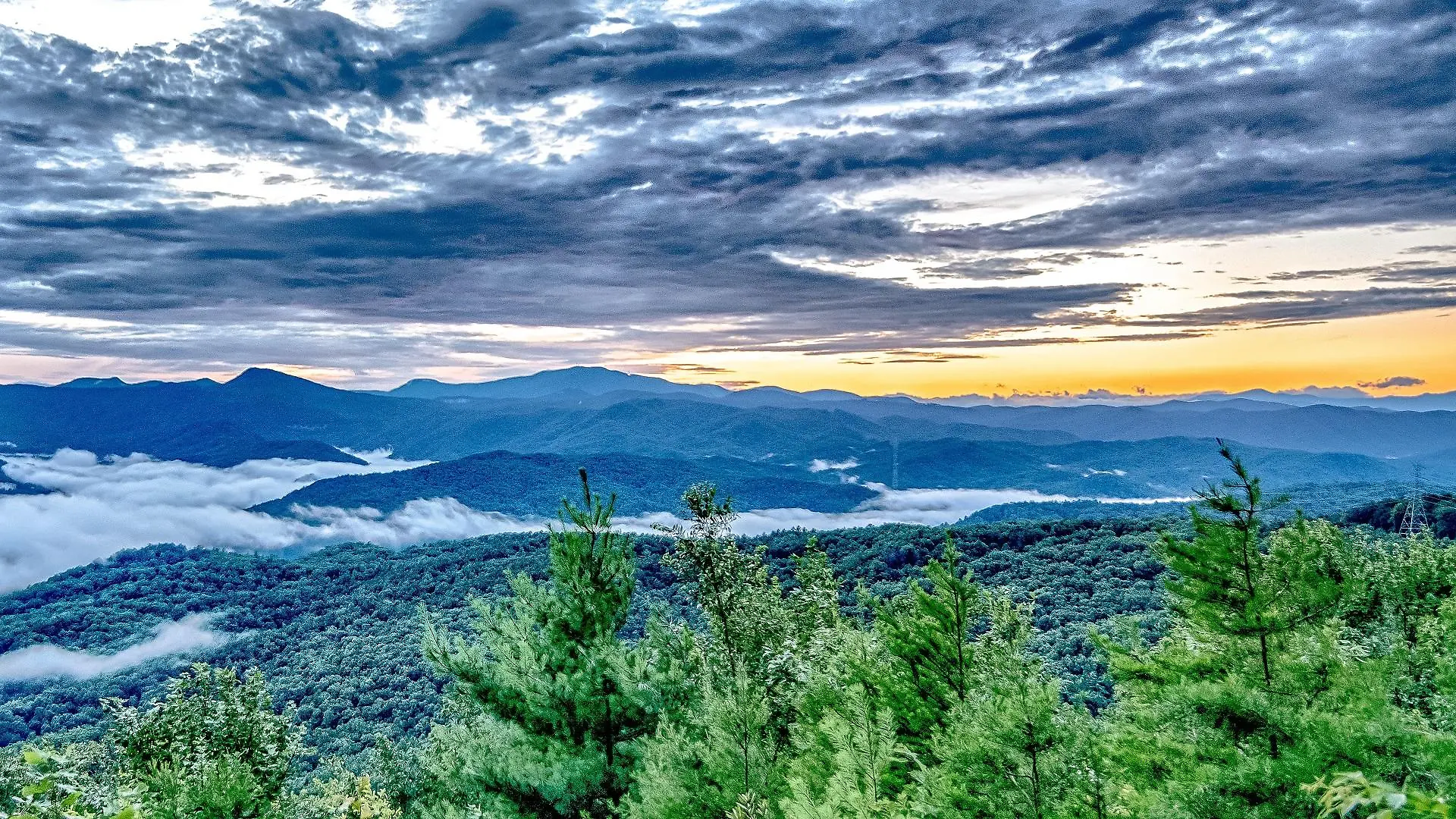 south-carolina-t13872