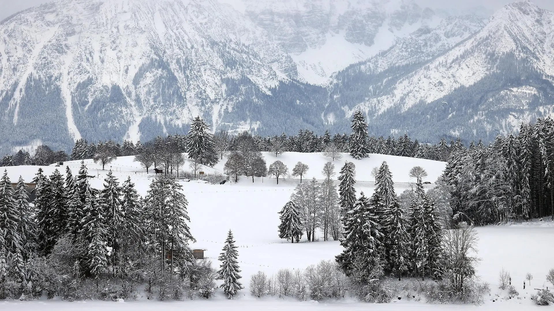 allgaeu-t13962