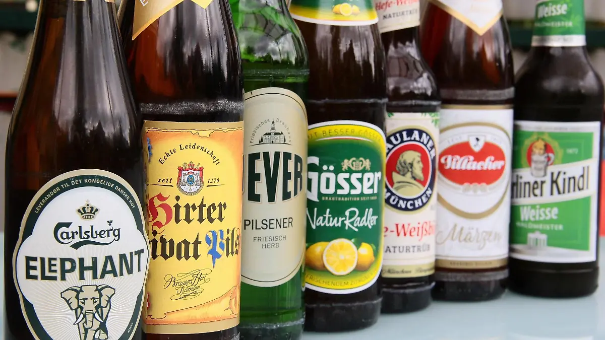 bier-t14040