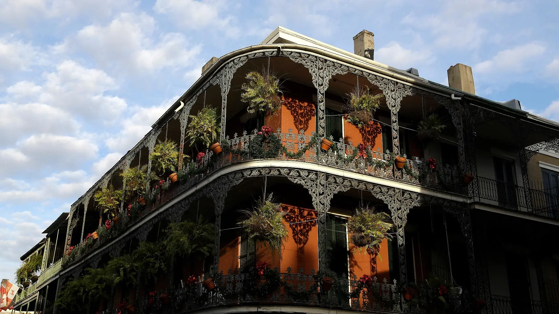 new-orleans-t14409