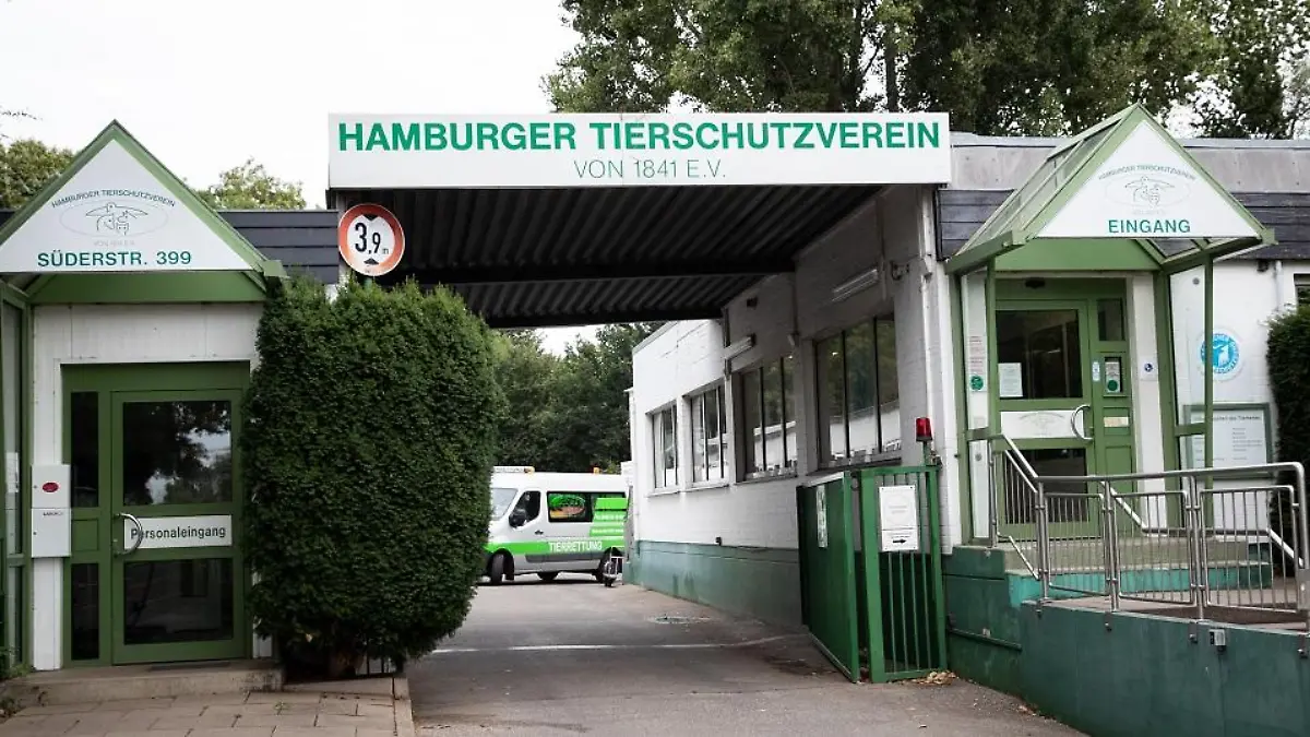 tierheim-hamburg-suederstrasse-t16030