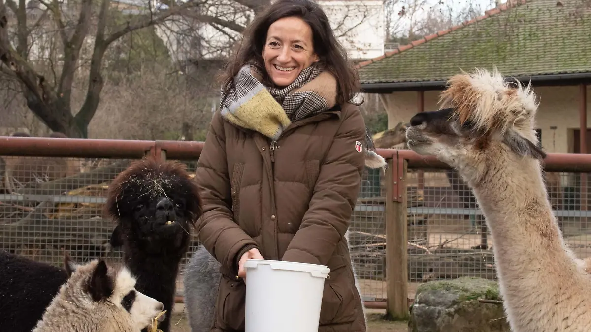 zoo-frankfurt-t16480