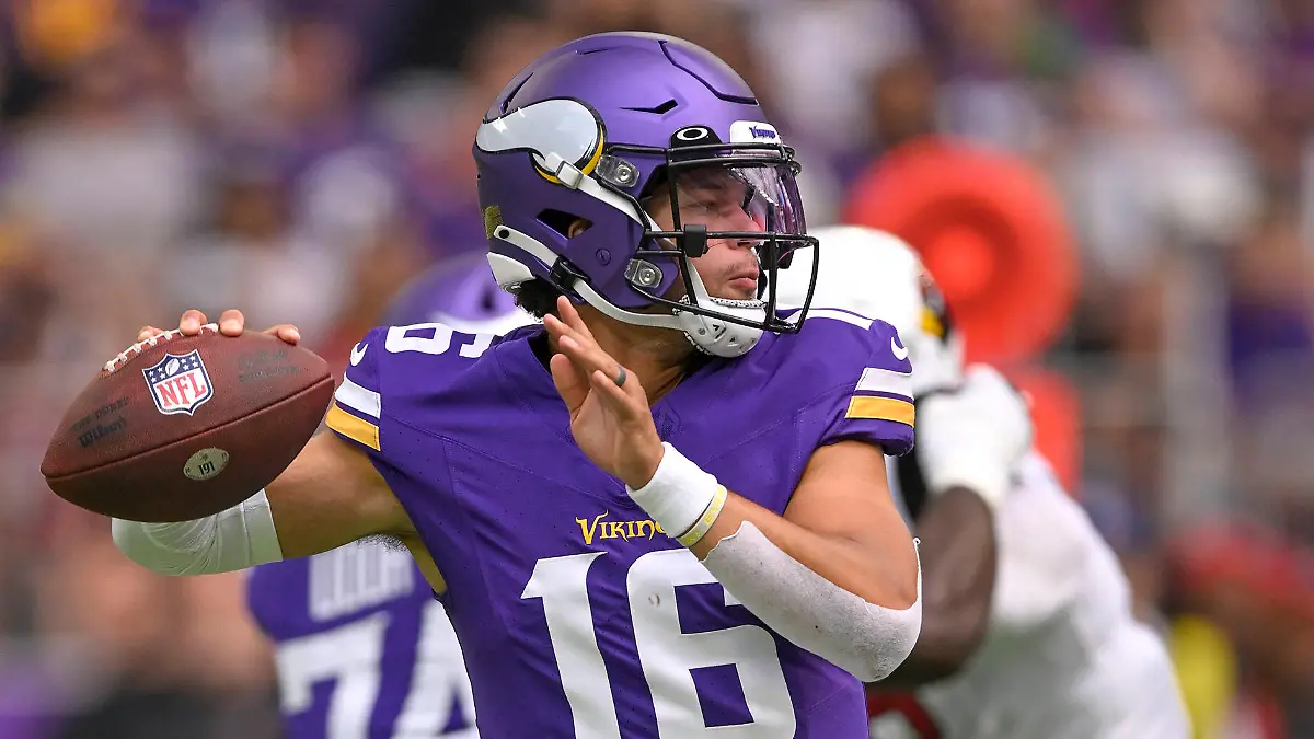 minnesota-vikings-t17510