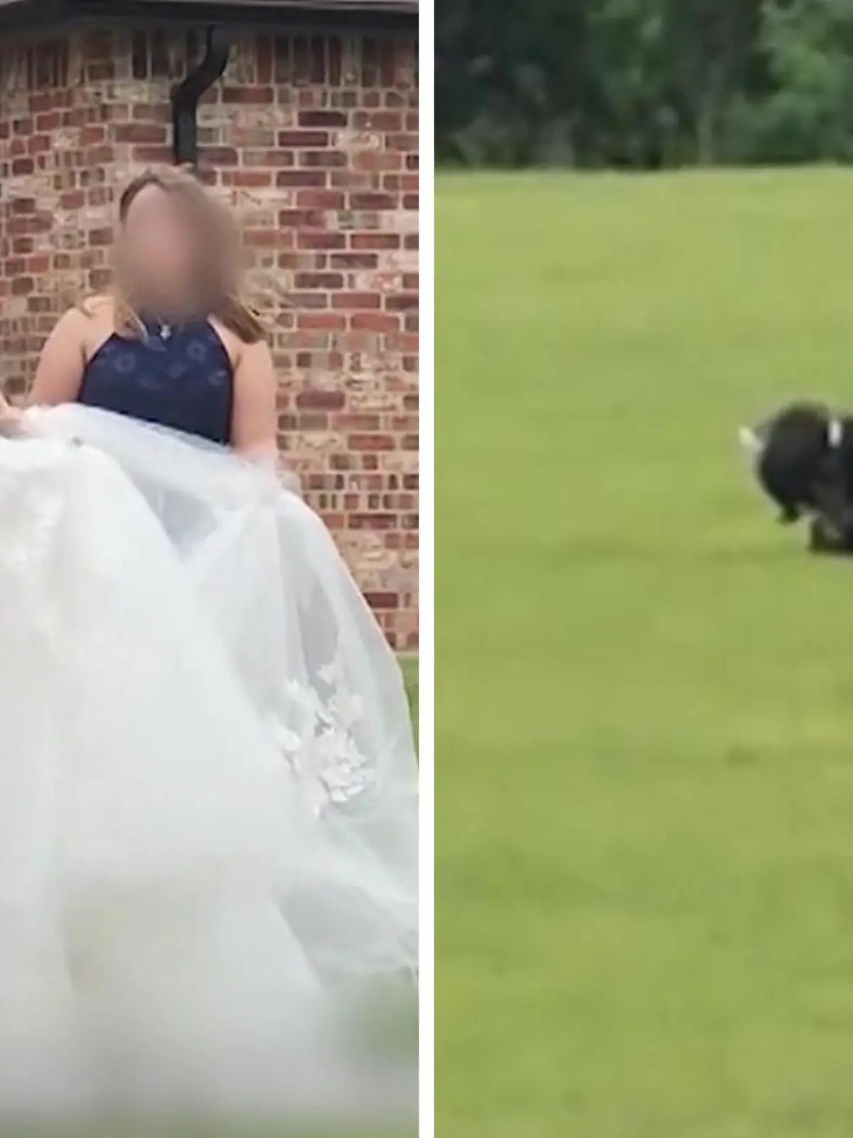 Die 24-jährige Mistique Morris aus Oklahoma City schreitet Arm in Arm mit ihrem Papa zum Altar. Das sollte ihr perfekter Tag werden. Doch dann entdecken Gäste eine gruselige Gestalt auf einer nahegelegenen Wiese. Mehr seht ihr im Video!
