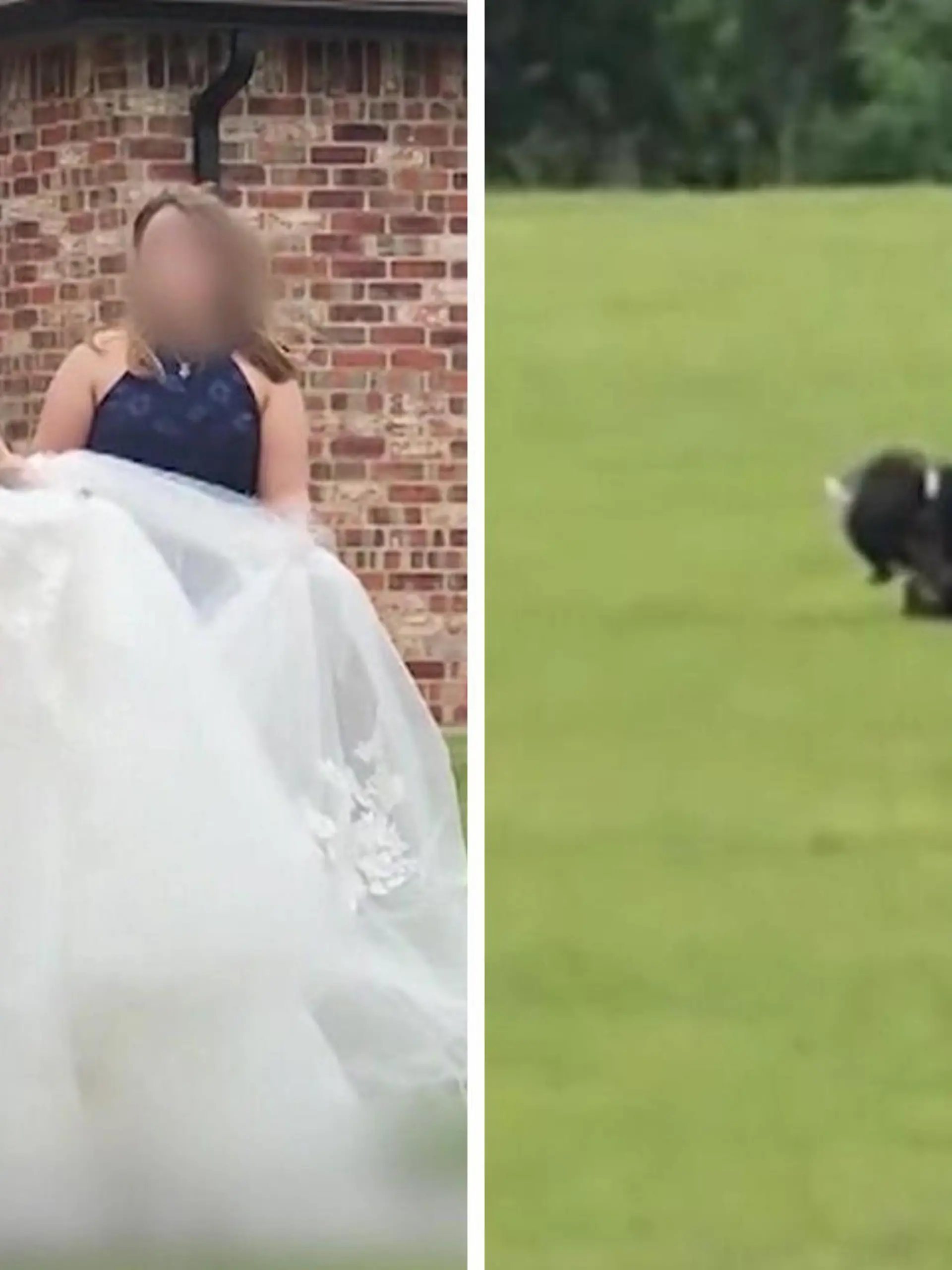 Die 24-jährige Mistique Morris aus Oklahoma City schreitet Arm in Arm mit ihrem Papa zum Altar. Das sollte ihr perfekter Tag werden. Doch dann entdecken Gäste eine gruselige Gestalt auf einer nahegelegenen Wiese. Mehr seht ihr im Video!