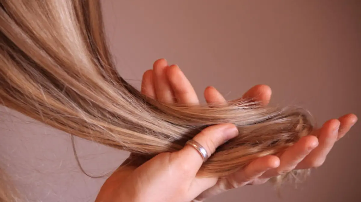 Beauty salon concept, Back view,Human Hair, Beauty Spa, Bleached Hair, Blond Hair, Hair