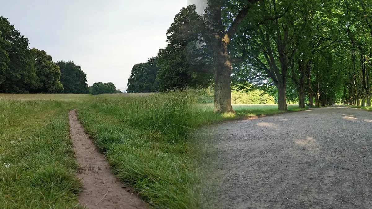 Die Strecke führt über Feldwege, Schotter und Straße