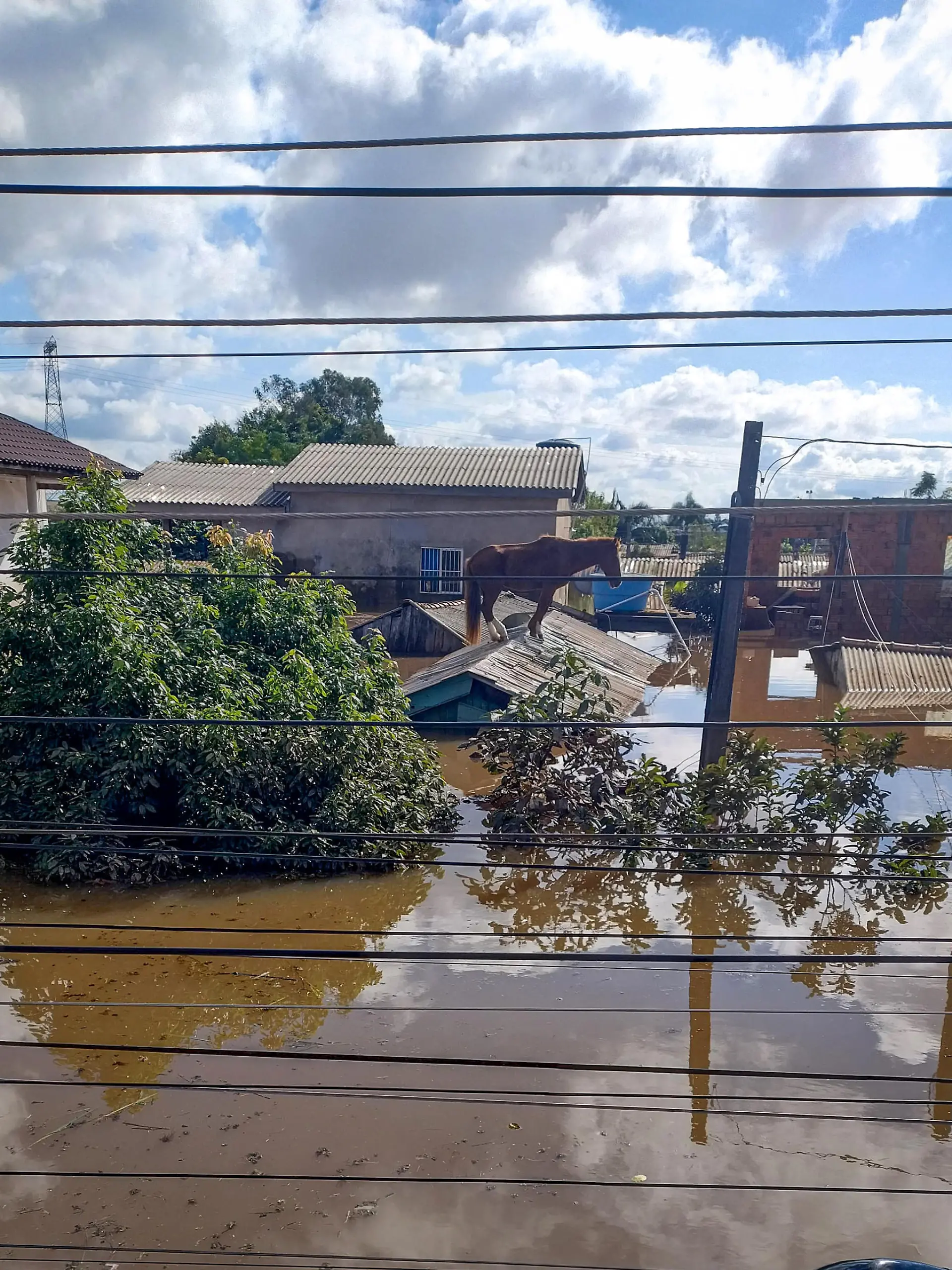 HANDOUT - 10.05.2024, Brasilien, Canoas: Auf diesem von der Feuerwehr von Rio Grande do Sul zur Verfügung gestellten Bild steht ein Pferd auf einem Dach umgeben vom Hochwasser. Lokale Medien berichteten vom tapferen Pferd, das laut diesen Angaben vier Tage lang auf dem Dach ausharrte und in sozialen Netzwerken «Caramelo» getauft wurde. «Caramelo» konnte von der Feuerwehr gerettet werden. Foto: ---/Corpo Bombeiros Rio Grande do Sul/dpa - ACHTUNG: Nur zur redaktionellen Verwendung im Zusammenhang mit der aktuellen Berichterstattung und nur mit vollständiger Nennung des vorstehenden Credits +++ dpa-Bildfunk +++