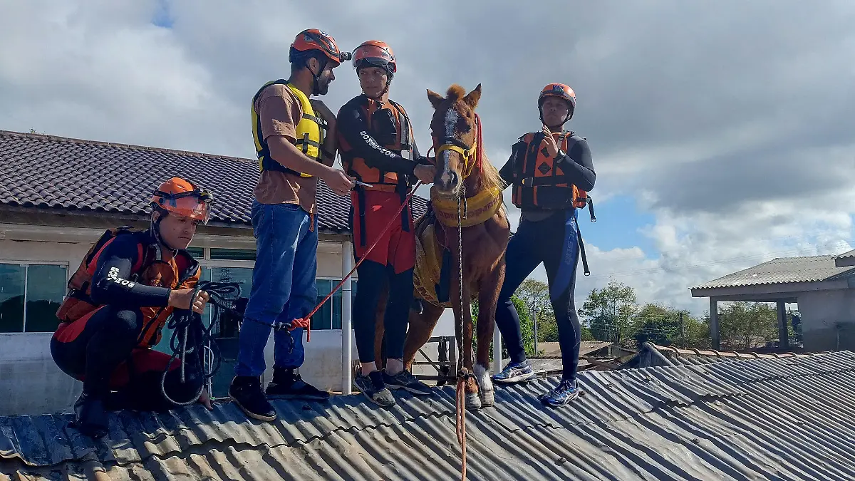 HANDOUT - 10.05.2024, Brasilien, Canoas: Auf diesem von der Feuerwehr von Rio Grande do Sul zur Verfügung gestellten Bild wird während der Überschwemmungen in der Region ein Pferd, das umgeben vom Hochwasser auf einem Dach stand, von der Feuerwehr gerettet. Lokale Medien berichteten vom tapferen Pferd, das laut diesen Angaben vier Tage lang auf dem Dach ausharrte und in sozialen Netzwerken «Caramelo» getauft wurde. Foto: ---/Corpo Bombeiros Rio Grande do Sul/dpa - ACHTUNG: Nur zur redaktionellen Verwendung im Zusammenhang mit der aktuellen Berichterstattung und nur mit vollständiger Nennung des vorstehenden Credits +++ dpa-Bildfunk +++