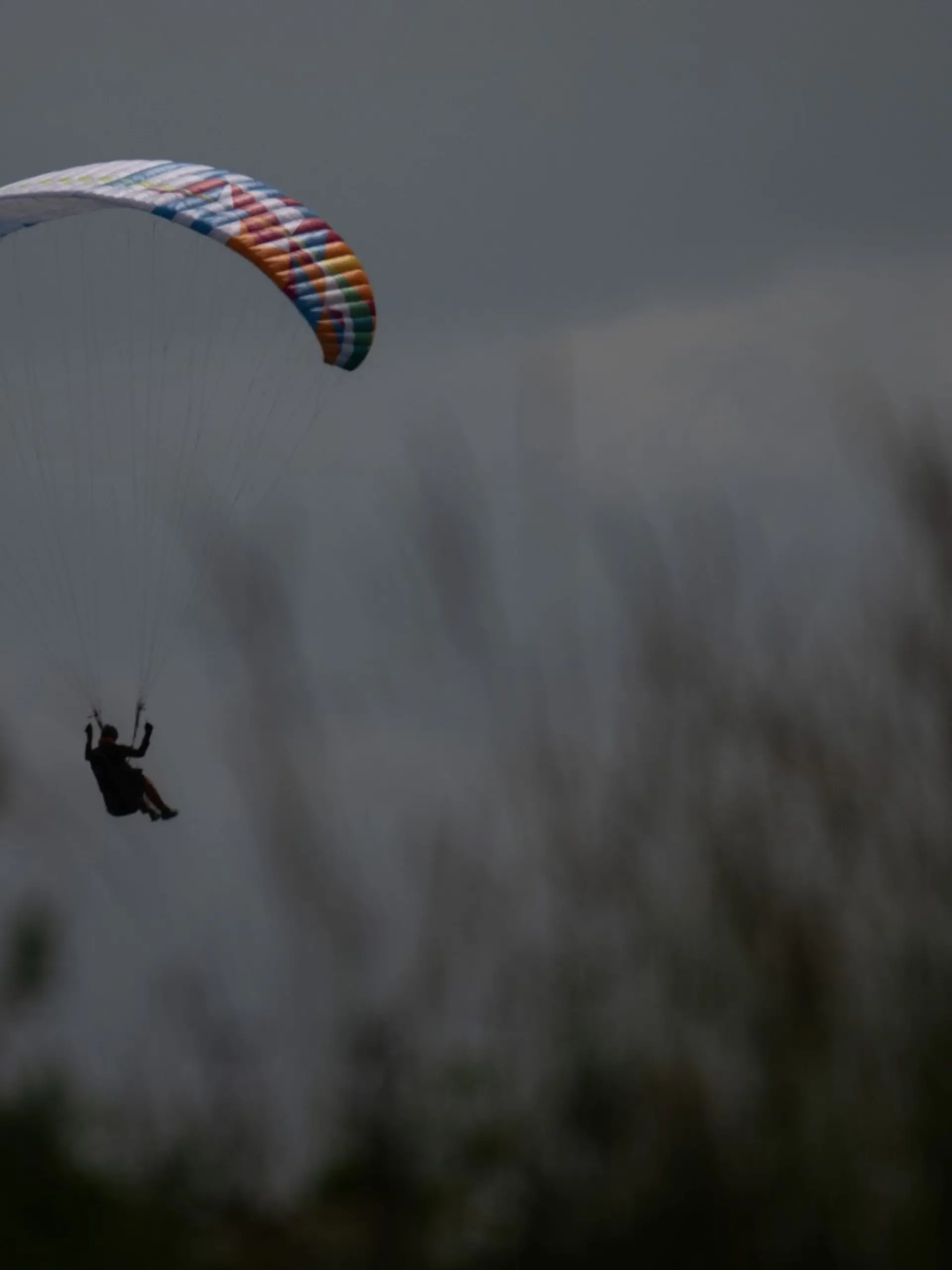 Ein Gleitschirmflieger wird von der Sonne angeschienen während er in einer Wiese landet.