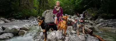 Hundetraining mit Deinem Vierbeiner in den Tiroler Bergen im Hotel Tiroler Adler (3 Nächte/pro Person)