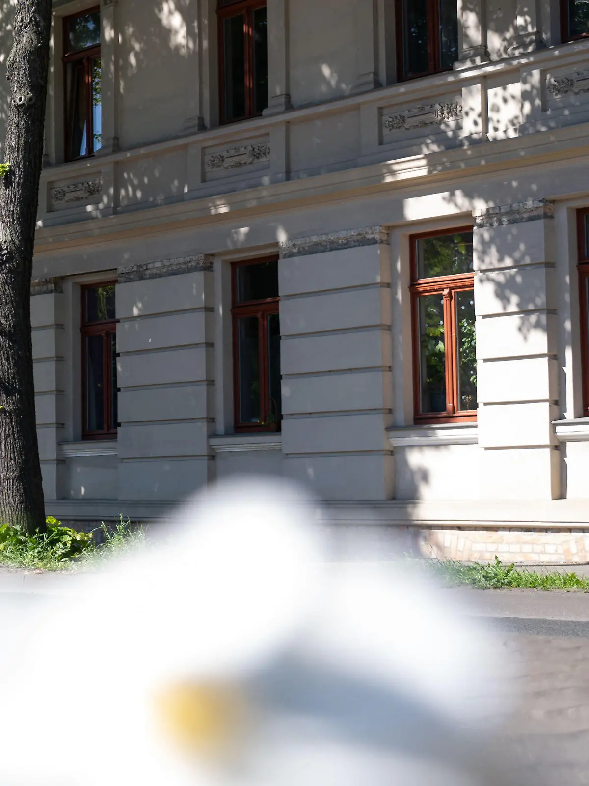 13.05.2024, Sachsen-Anhalt, Halle (Saale): Blick auf ein Wohnhaus im Paulusviertel in dem am 12.05.2024 ein zwei Jahre altes Mädchen tot in einer Wohnung aufgefunden wurde. Die Todesursache war zunächst unklar. Den Angaben eines Polizeisprechers zufolge war ein Notruf bei der Leitstelle wegen eines medizinischen Notfalls in einer Wohnung eingegangen. Foto: Hendrik Schmidt/dpa - ACHTUNG: Hausnummer wurde aus rechtlichen Gründen gepixelt +++ dpa-Bildfunk +++