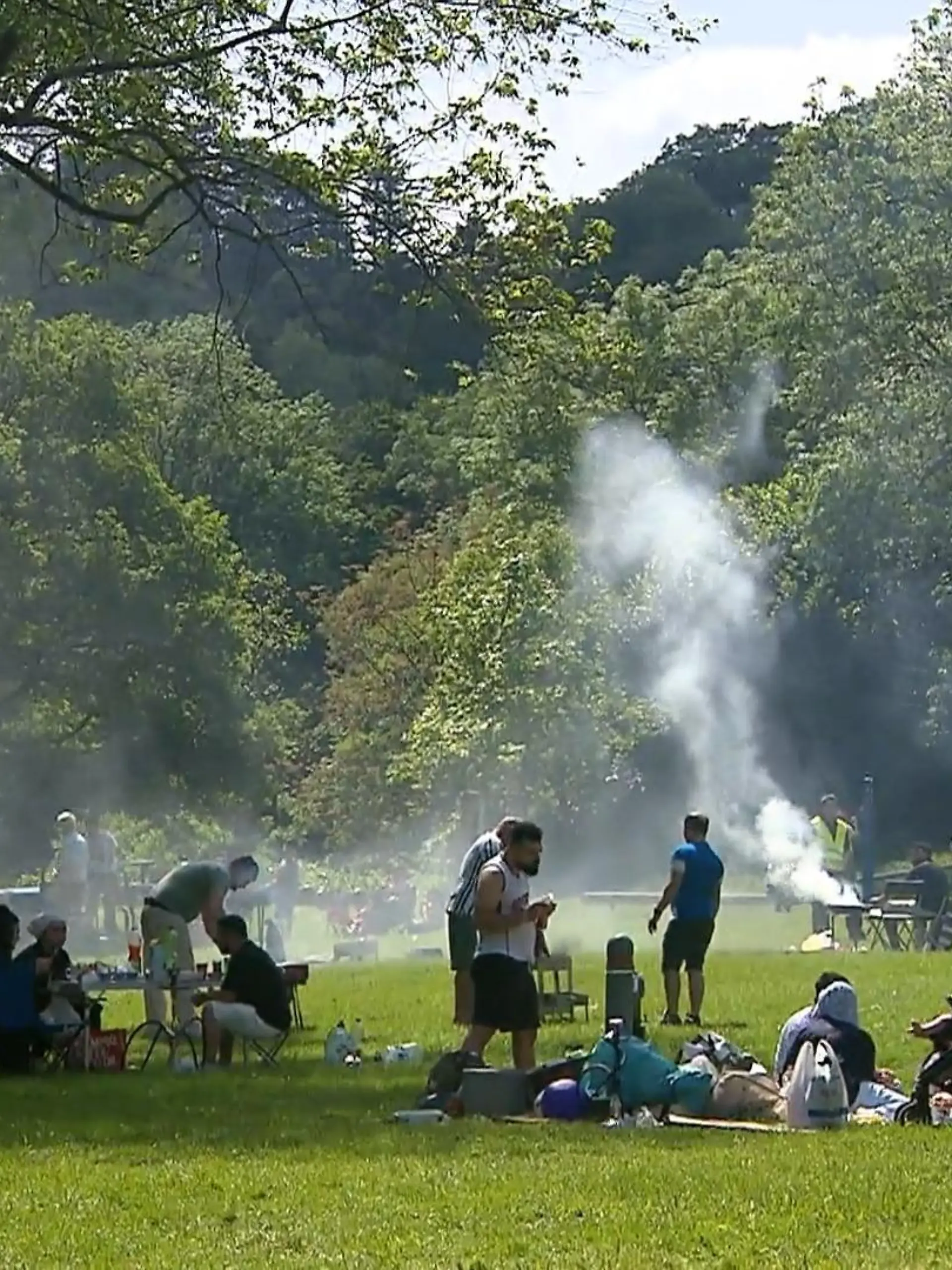 Bild zu: "Brutzeln im Park sorgt für Ärger"