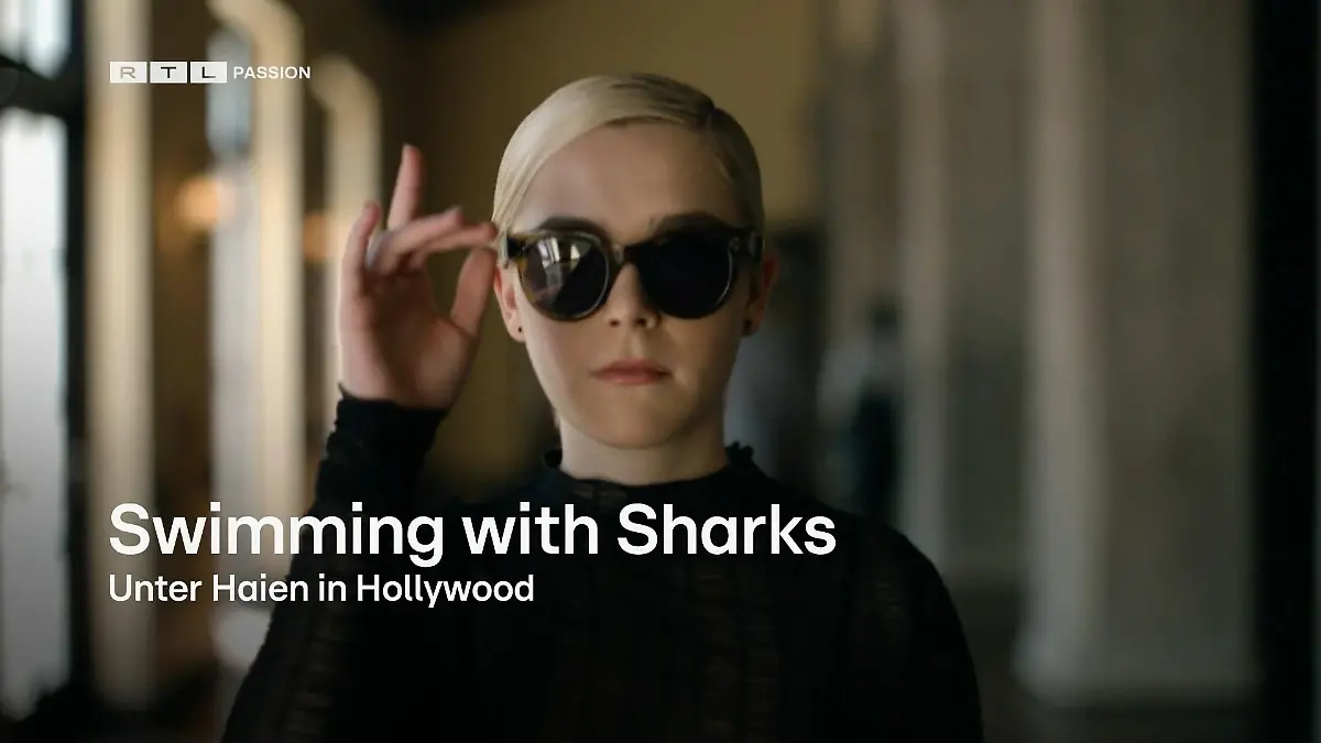 Swimming with Sharks Unter Haien in Hollywood
