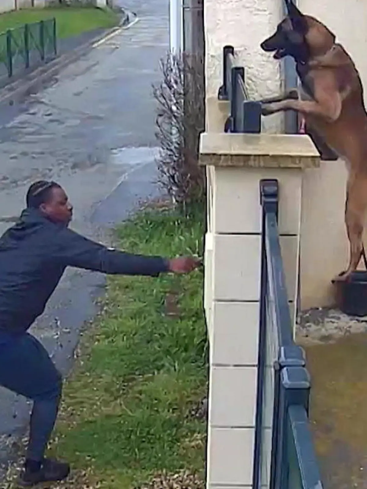 In der kleinen Gemeinde Bornel in Frankreich erlebt ein Postzusteller den Albtraum eines jeden Postboten. Der Briefkasten wird von einem aggressiven Hund bewacht. Ob der Postbote es schafft, seinen Job zu erledigen?