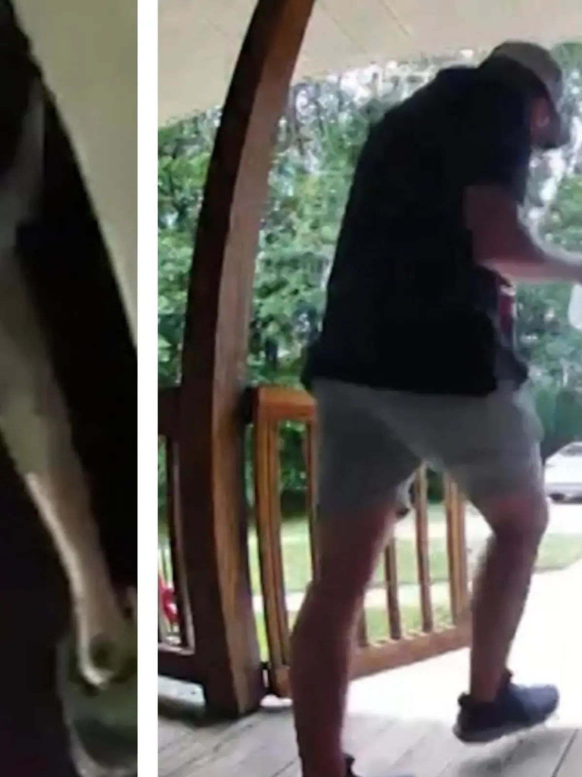 Wer wartet den hier vor der Tür?

Nein, mit diesem ungebetenen Gast hat der Hausbesitzer nicht gerechnet. Als der Mann in South Carolina sein Haus verlässt, wird er von einer Schlange angegriffen. Wie er den Schreck-Moment erlebt, seht ihr im Video.