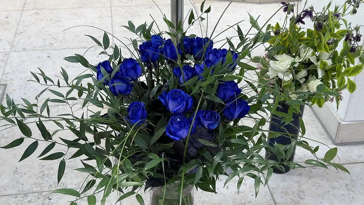Marie aus Regensburg ist tot - diese blauen Rosen waren ihr letzter Wunsch.